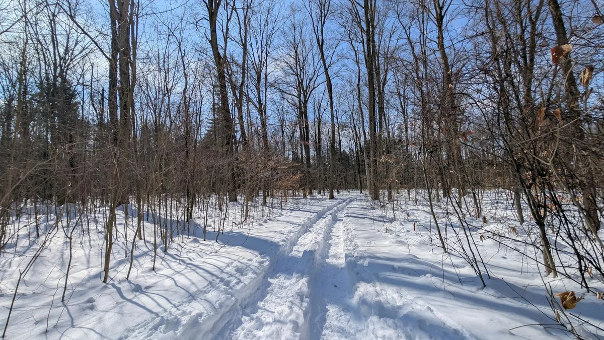 2026 Albany Winter Rentals: Insider Tips & Deals
