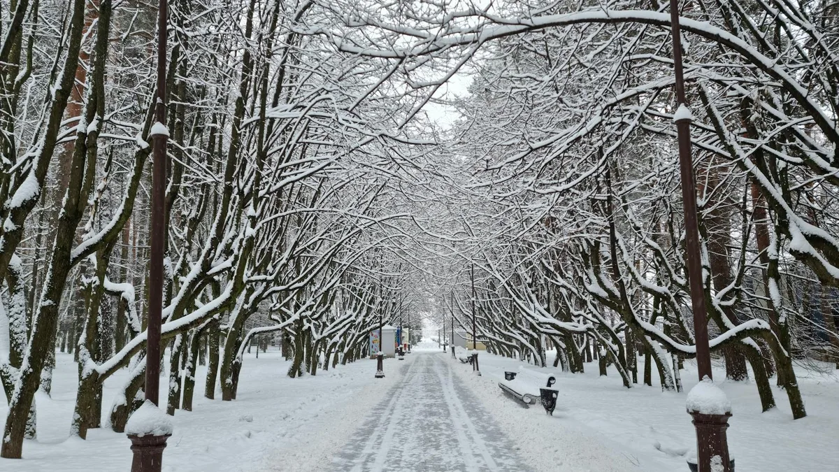 Albany Winter Rentals Guide 2026