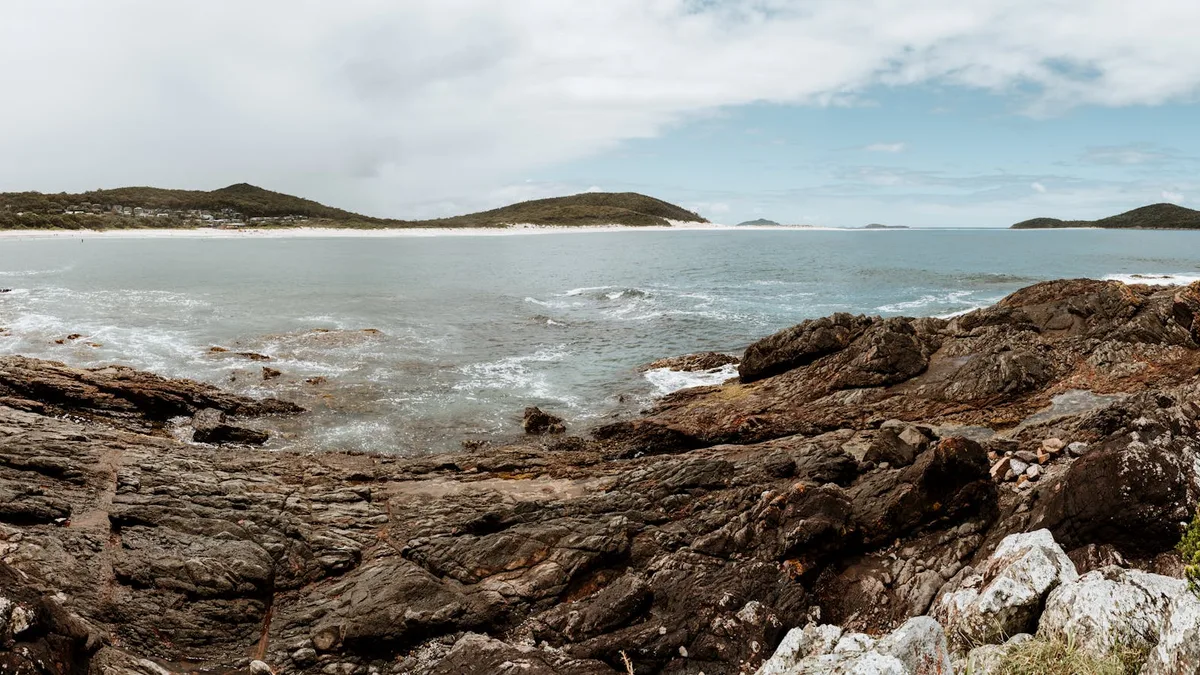 Albany'de Bütçe Dostu Etkinlikler 2026